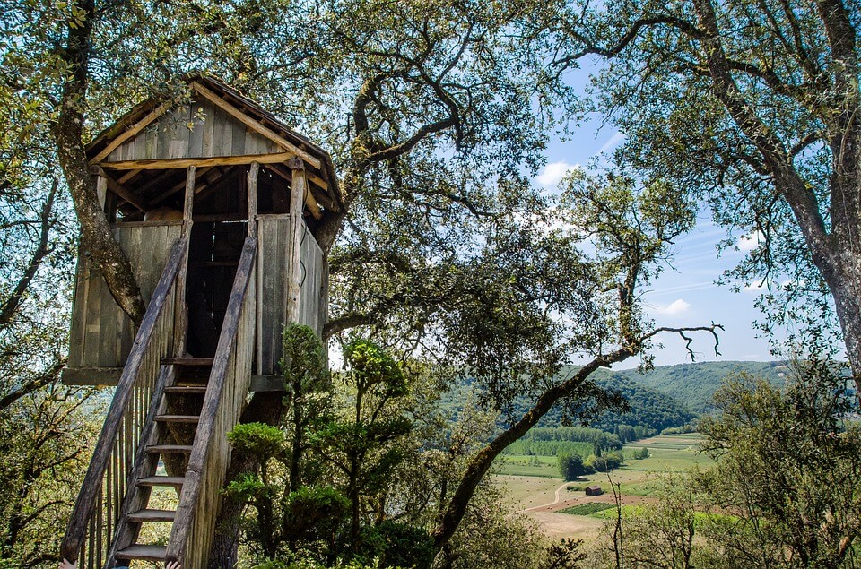 Built treehouse in the garden